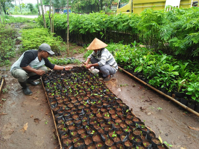 Soil preparation training