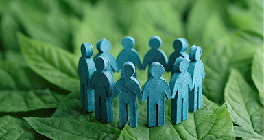 Organizational Structure to Promote Sustainability