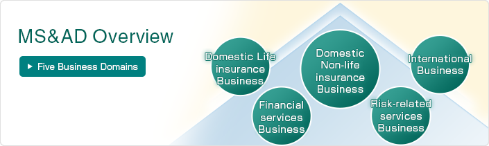 Five Business Domains