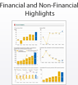 Financial and Non-Financial Highlights