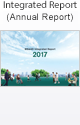 Integrated Report (Annual Report)