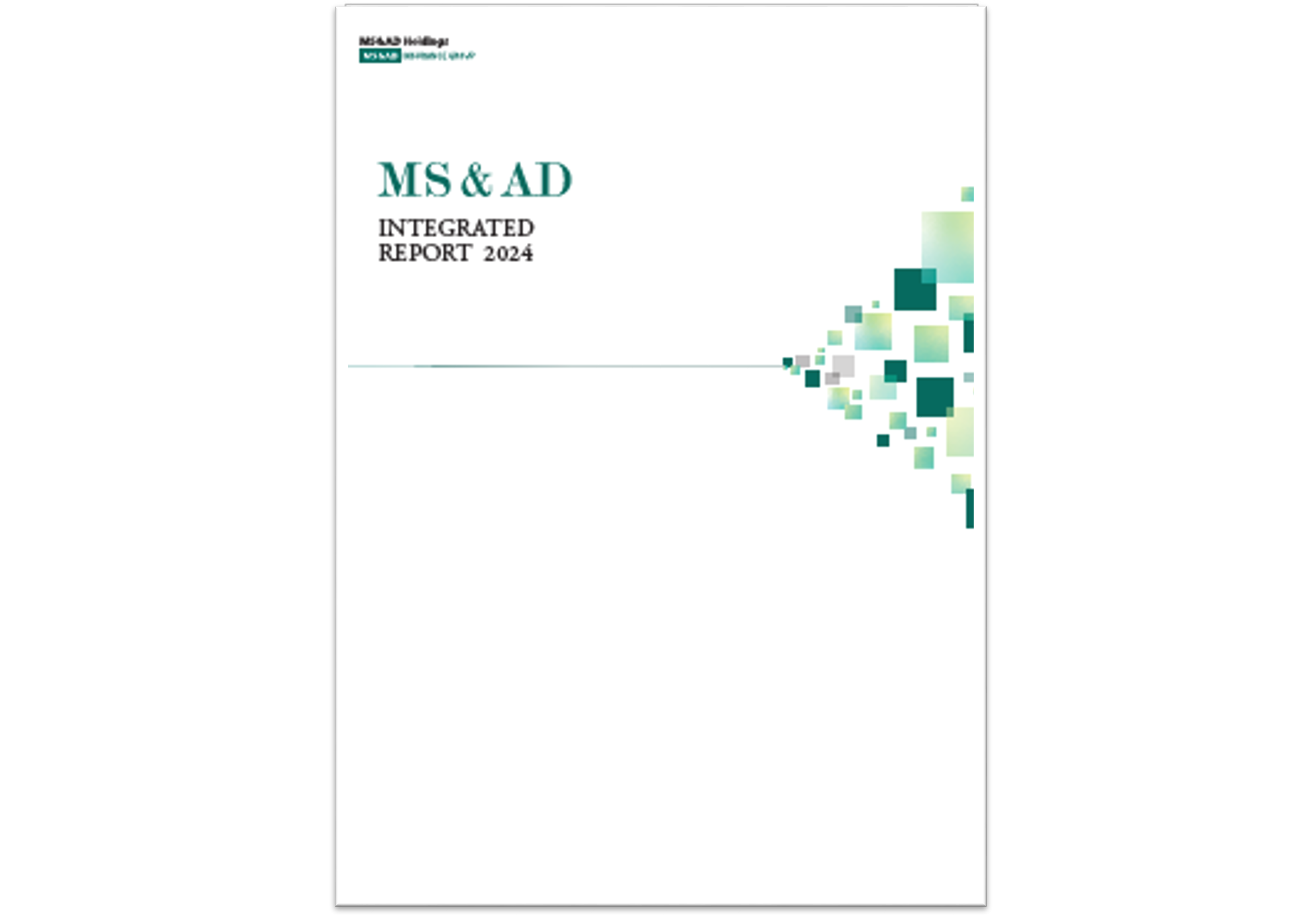 Integrated Report (Annual Report)